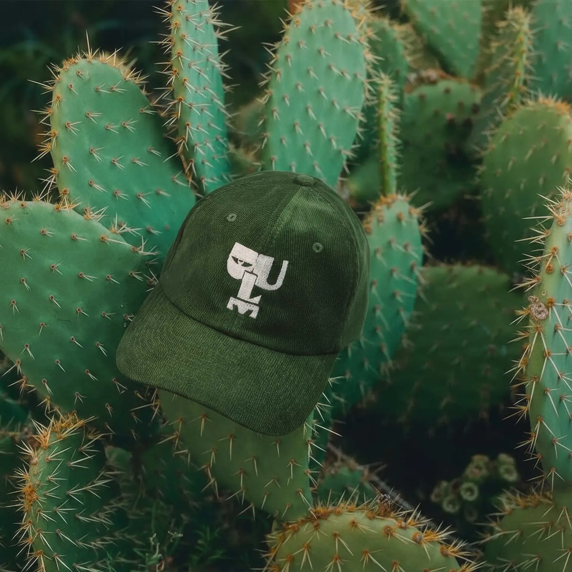 Casquette Dulce